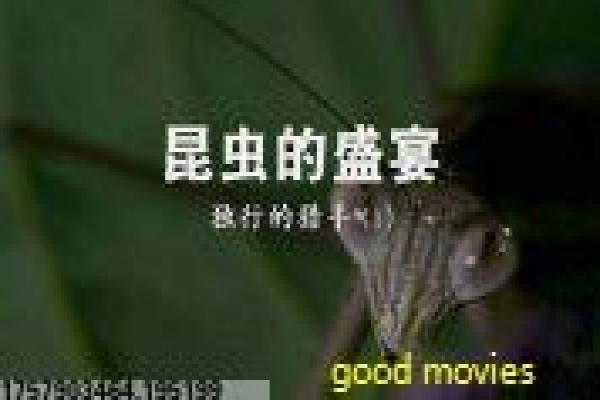 《完美新娘》影片简介,完美新娘爱情的浪漫传奇