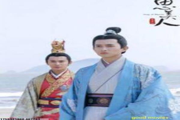 《女医明妃传》故事情节深度还原,女医明妃传宫廷医术的传奇一生与爱情纠葛的解析