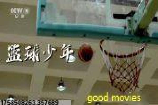 《追风行动》影片解析,追风行动动作的热血剖析