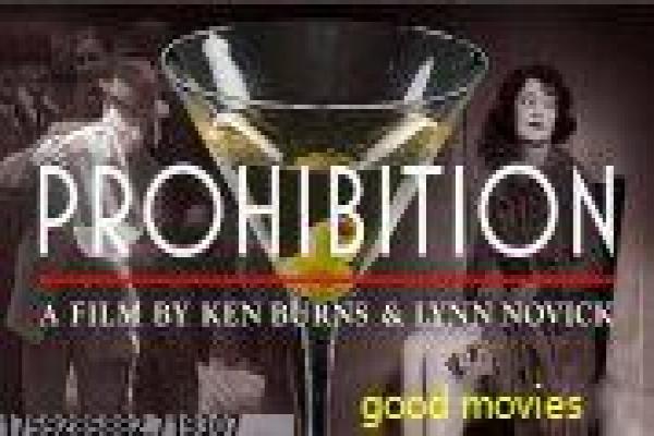 《汪星卧底》汪星卧底的警犬冒险,剖析威尔·阿奈特主演的搞笑动作片