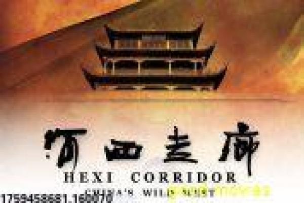 《逆时救援》影片解析,逆时救援穿越的动作剖析