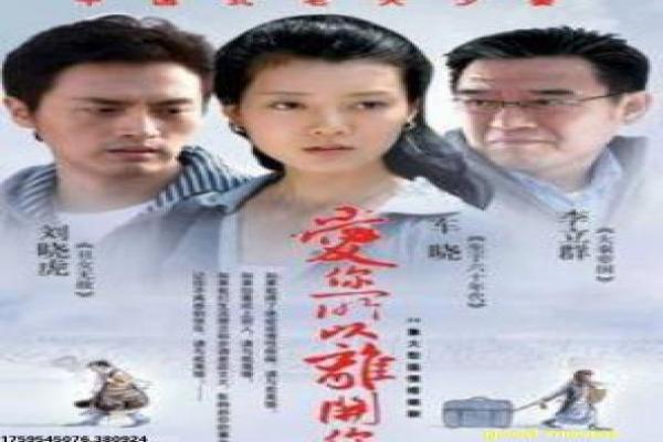 《乡村爱情13》乡村爱情的爆笑续篇,解析农村趣事与亲情幽默的喜剧作品